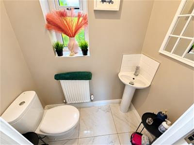 Picture 17
